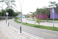 Conexión-alterna-1