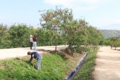 Parque-contemplativo-el-carrasco-6
