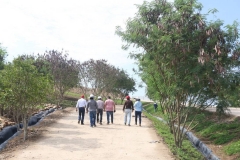 Parque-contemplativo-el-carrasco-8