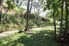Las-Mojarras-15