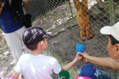 fauna-silvestre-11