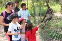 fauna-silvestre-2