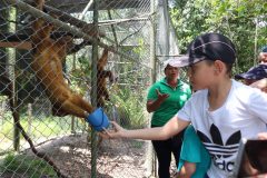 fauna-silvestre-4