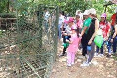 fauna-silvestre-7