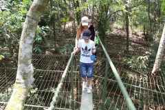 fauna-silvestre-8