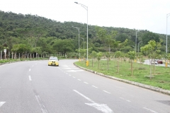 El-Bosque-13