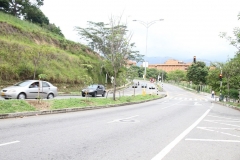 El-Bosque-3
