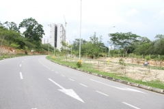 El-Bosque-7