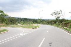 El-Bosque-8