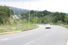 El-Bosque-9