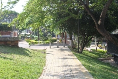 Giraluz-3
