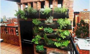 AMB entrega Huertas Verticales  a Contralores Escolares para que acentúen la sensibilidad y el compromiso ambiental