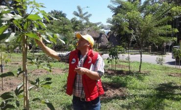 AMB realiza actualización del inventario forestal metropolitano para establecer el estado fito-sanitario de 9 mil 500 árboles