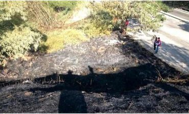 AMB acoge recomendaciones del Ideam y MinAmbiente y alerta a ciudadanía ante sequía e incendios provocados por Fenómeno del Niño