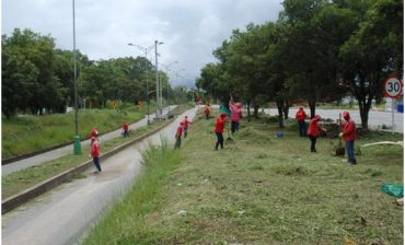 AMB despeja y embellece retornos y separador central por el que se mueve Metrolínea entre Piedecuesta – Floridablanca