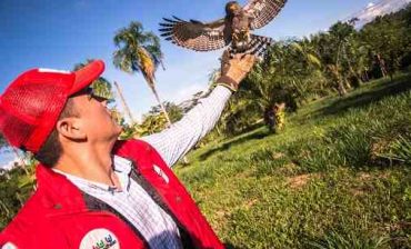 A 27 animales silvestres les cambiamos “la cárcel” urbana por todo el universo de libertad en el Magdalena Medio