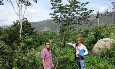 A la fecha, 4 mil 666 árboles se han sembrado en compensación forestal por las obras del “tercer carril”