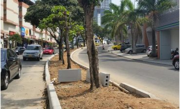 En un 35% avanzan trabajos de recuperación de la estructura ecológica principal de la Avenida la Rosita