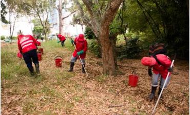 Con cifra récord de 21 mil kilos recogidos AMB líder nacional en el control del caracol africano