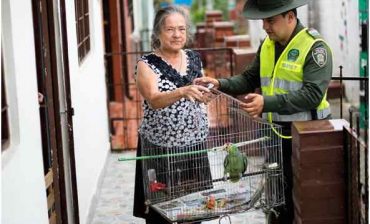 Con la entrega de especies de fauna silvestre, Piedecuesta responde a la jornada de liberación voluntaria “Yo Te Quiero Libre”