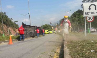 Mayor visibilidad, menos accidentes y más embellecimiento entre Floridablanca – Piedecuesta, gracias a jornada de poda adelantada por el AMB