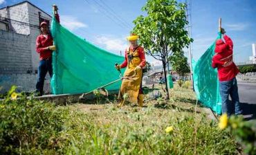 “Municipio de Floridablanca es el único responsable del mantenimiento de zonas verdes, no el AMB”