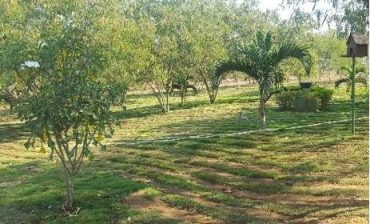 Confianza en lo público: 59 propuestas recibió el Área Metropolitana de Bucaramanga para el proyecto del Parque Contemplativo El Carrasco