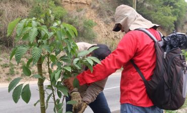 5 de junio, Día Mundial del Medio Ambiente. En el AMB aportamos a la lucha contra la contaminación del aire a través del ‘Plan Forestal Metropolitano’