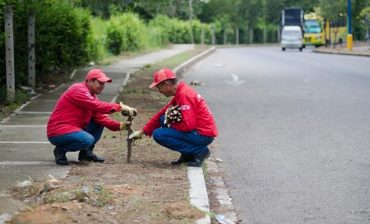 Avanzan preparativos para la gran “Sembraton”  por parte de la brigada ambiental del AMB