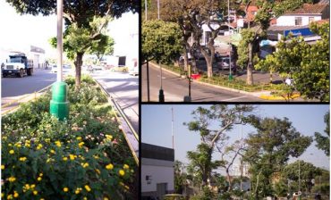 AMB entrega nuevos separadores de La Rosita y la Calle 56 y con ellos vuelven las flores y revive el paisaje multicolor