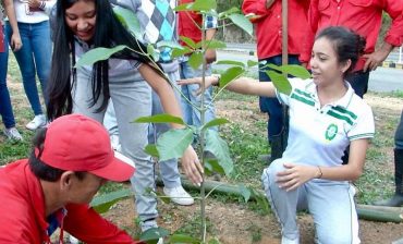 La Subdirección Ambiental del AMB se descentraliza el miércoles 18 de septiembre durante jornada de siembra de 250 árboles en el barrio Colorados de Bucaramanga