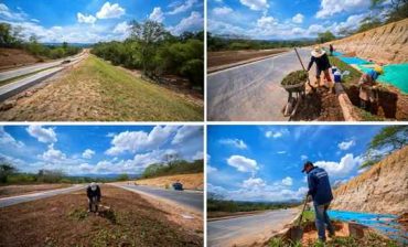 En tres frentes a toda marcha avanzan trabajos finales de la Transversal del Bosque tramo dos