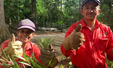 El AMB, comprometida a cuidar los Parques Metropolitanos