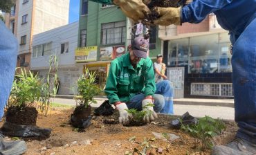 El AMB inició programa de siembra de 6 mil plantas y árboles en Bucaramanga